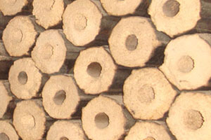 Wood husk briquette